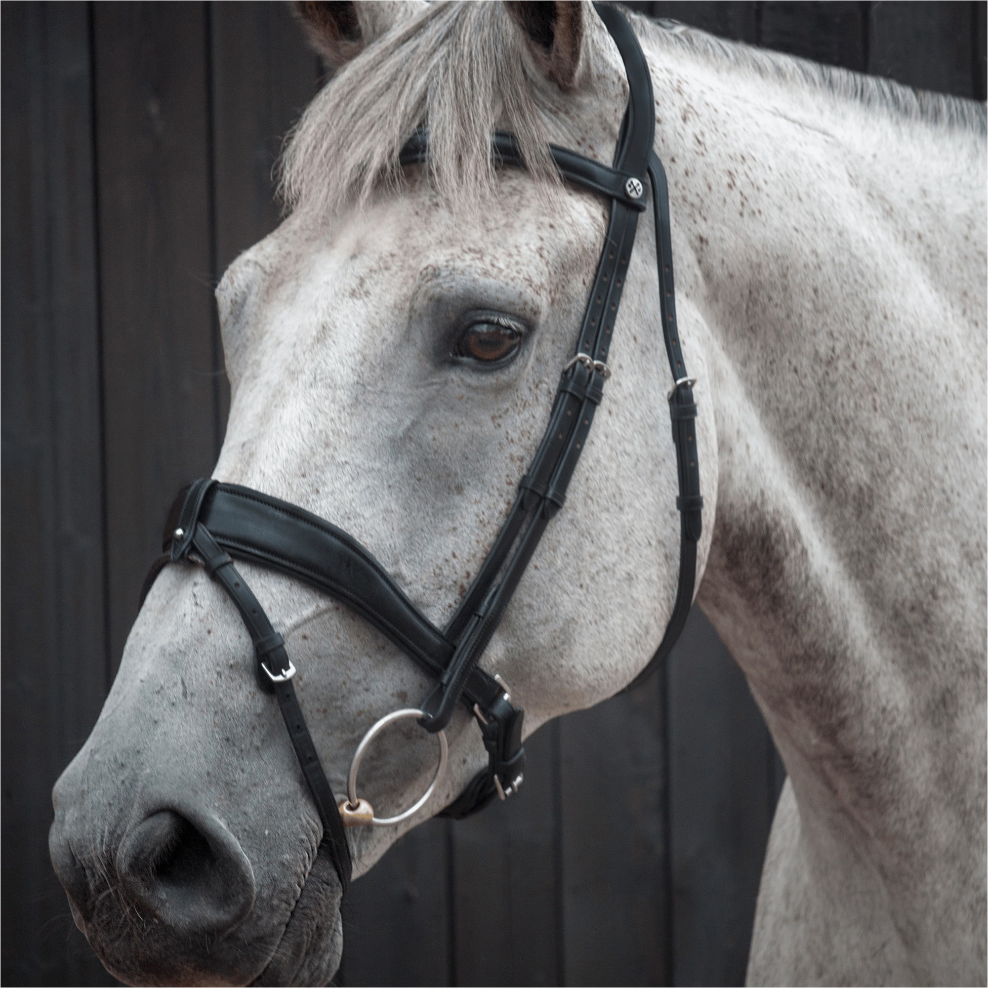 Henry James Saddlery Dressage Bridle HJ-BR-03 - Black